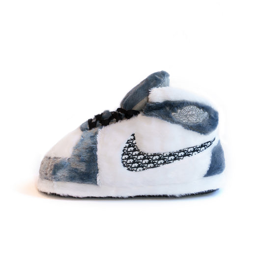 Air 1 Dior